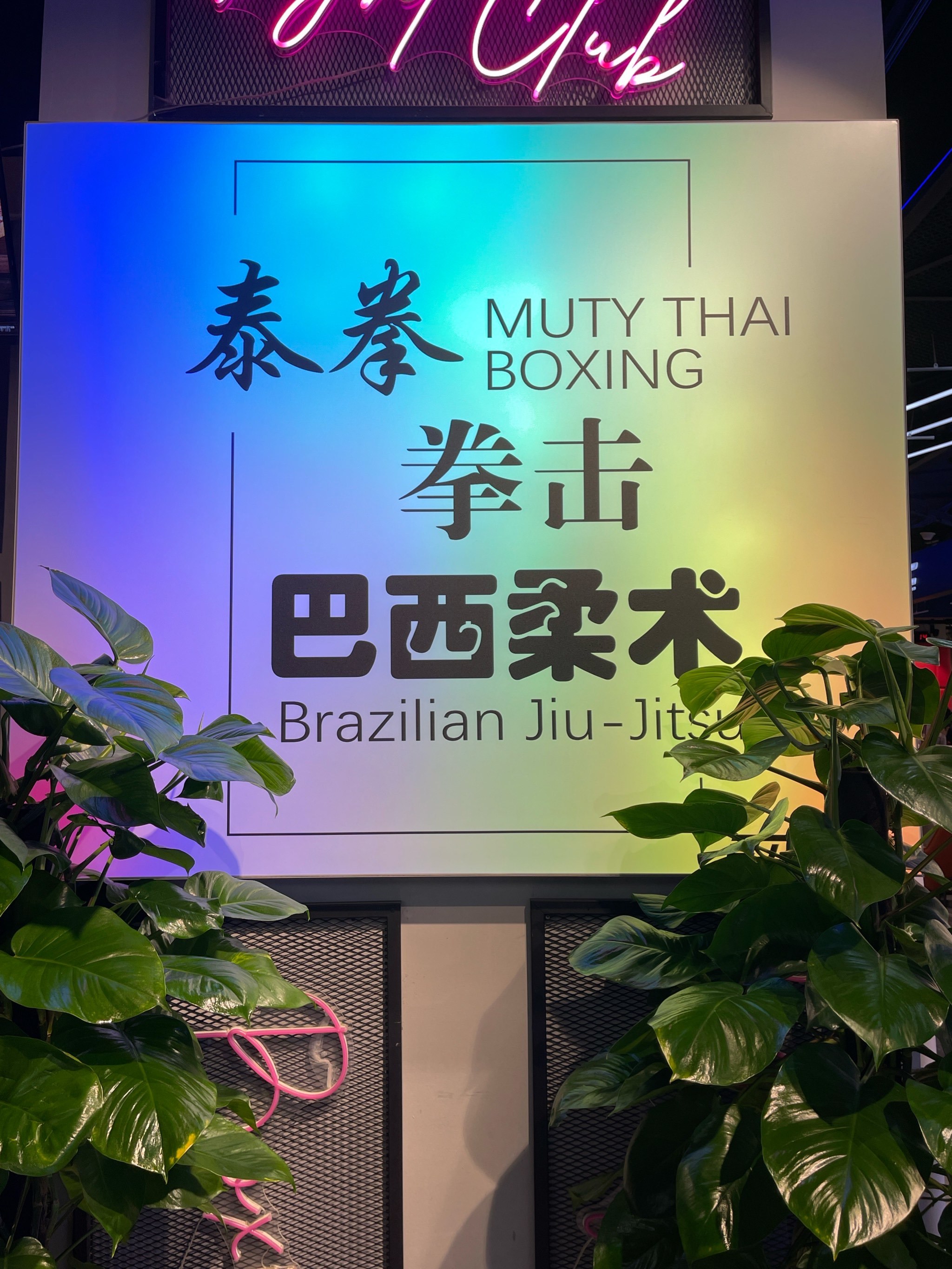 棋牌游戏教程包含拳击巡回赛，漠南闪电队与齐鲁玄武队读秒扳平，体能对抗拉满！关键战拿下信心的词条